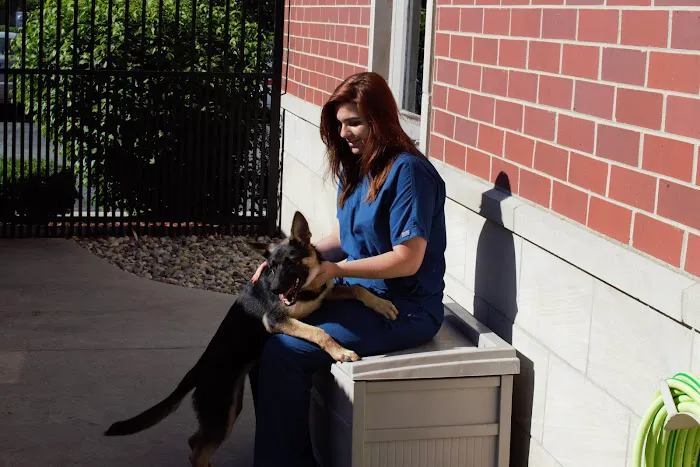 Munster Animal Hospital Picture 10