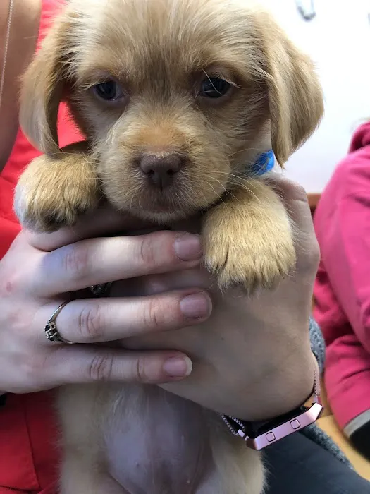 Munster Animal Hospital Picture 9