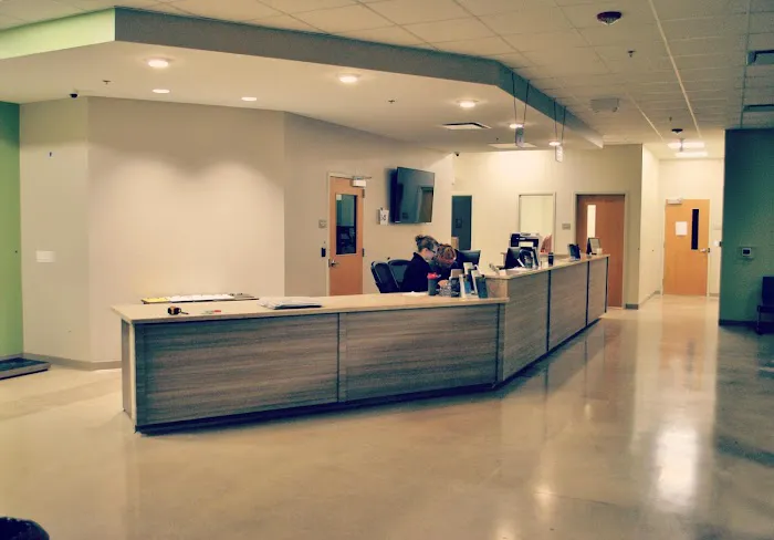 Premier Veterinary Group - Orland Park Picture 8
