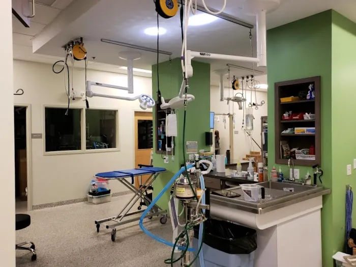 Premier Veterinary Group - Orland Park Picture 6