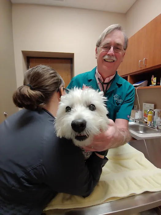 Avenue Animal Hospital Picture 4