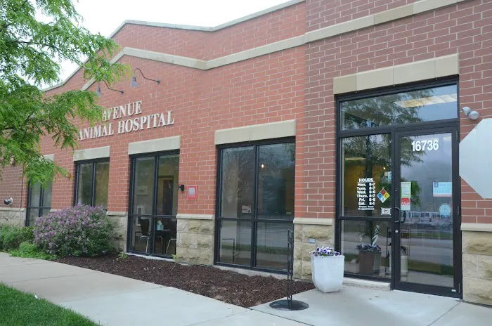 Avenue Animal Hospital Picture 7