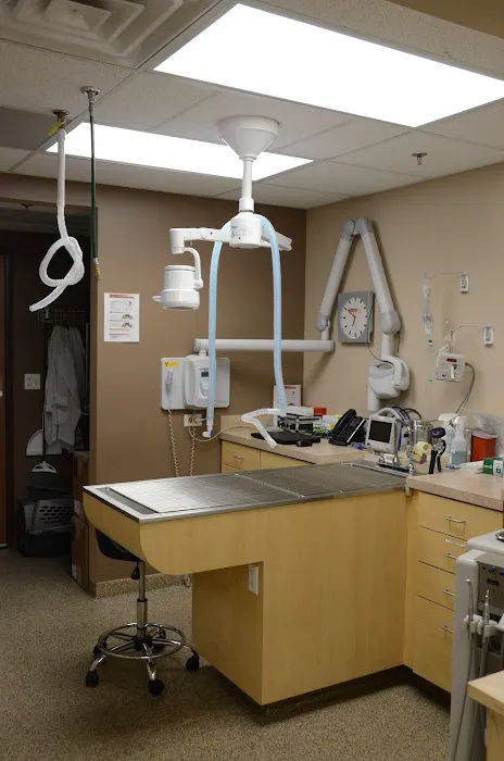 Avenue Animal Hospital Picture 2