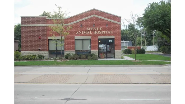 Avenue Animal Hospital Picture 10