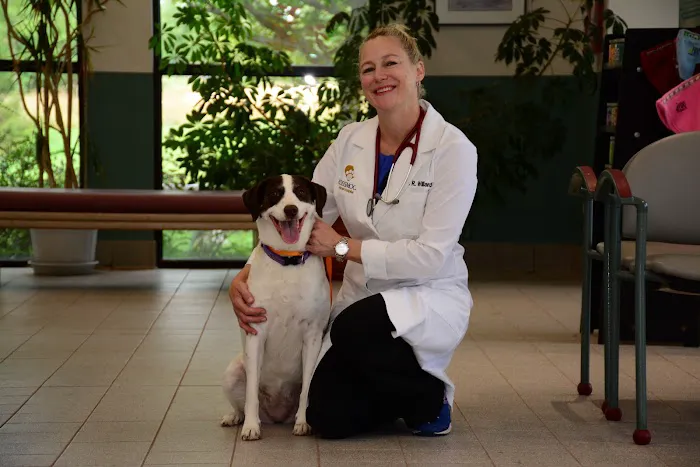 Flossmoor Animal Hospital Picture 10