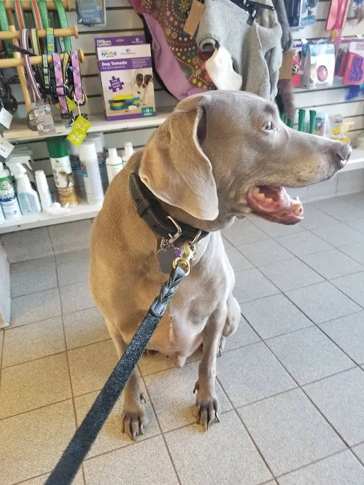 Flossmoor Animal Hospital Picture 9