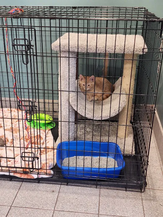 Flossmoor Animal Hospital Picture 4