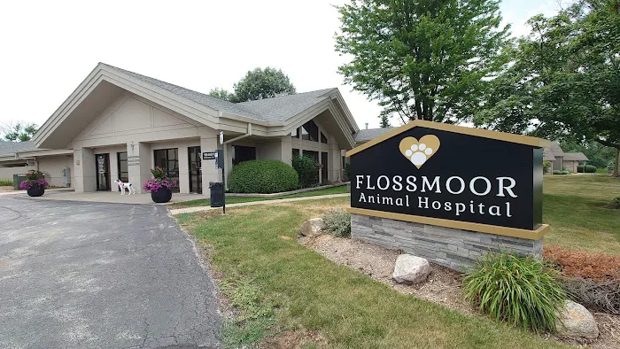 Flossmoor Animal Hospital Picture 3