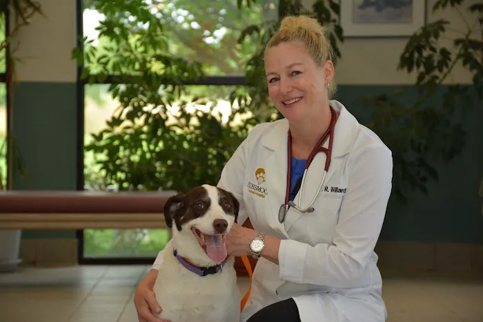 Flossmoor Animal Hospital Picture 1