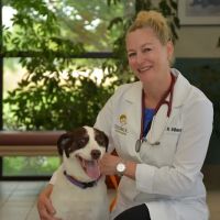 Flossmoor Animal Hospital ico