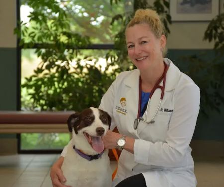 Flossmoor Animal Hospital