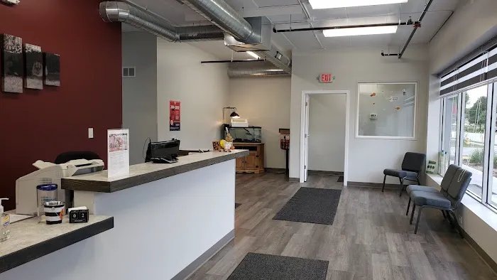 The Veterinary Clinic of Tinley Park Picture 4