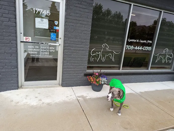 The Veterinary Clinic of Tinley Park Picture 9