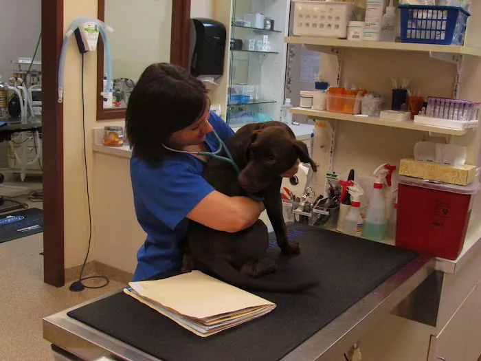 Mill Creek Animal Clinic Picture 4