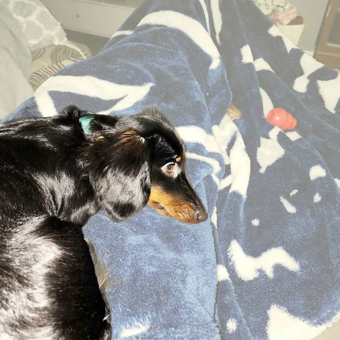 Mill Creek Animal Clinic Picture 7