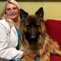 Abell Animal Hospital ico