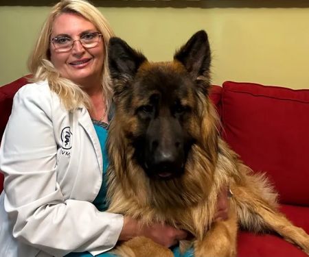 Abell Animal Hospital