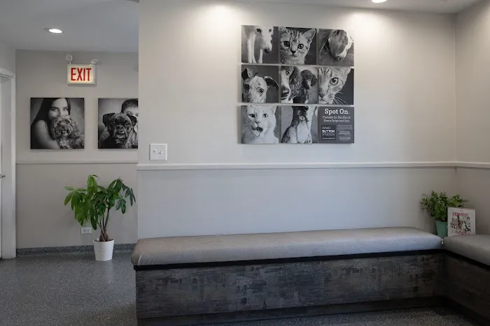 Abell Animal Hospital Picture 4