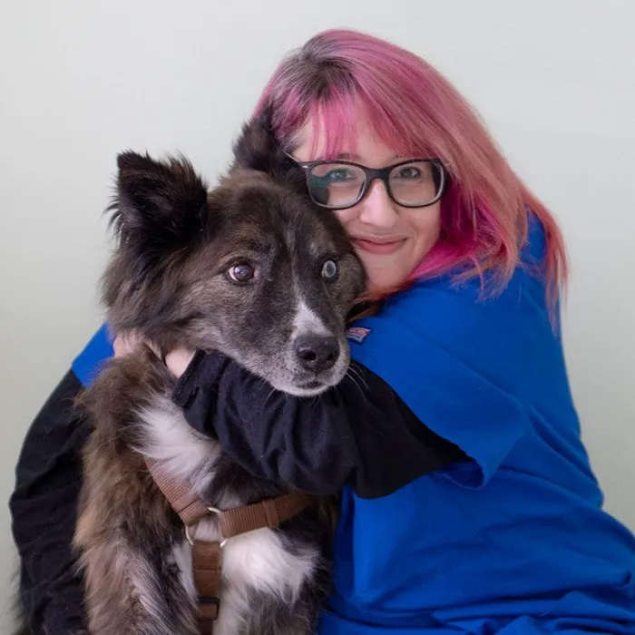 Abell Animal Hospital Picture 6