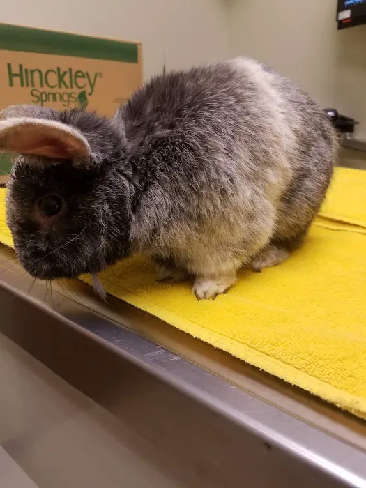 Forest Glen Animal Hospital Picture 3