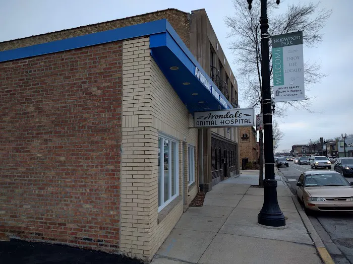 Avondale Animal Hospital Picture 4