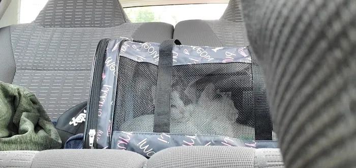 Avondale Animal Hospital Picture 2