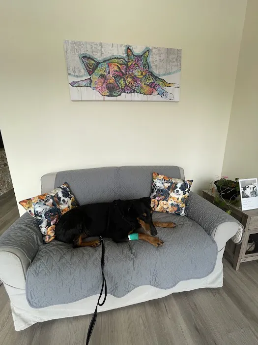 Holistic Veterinary Services Picture 9
