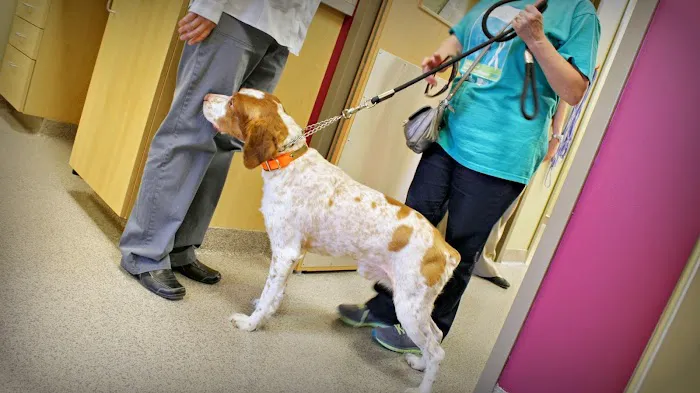 Finan Animal Hospital Picture 6