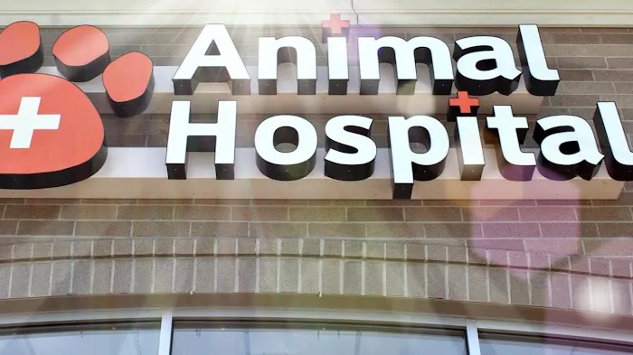 Finan Animal Hospital Picture 1