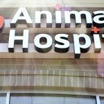 Finan Animal Hospital