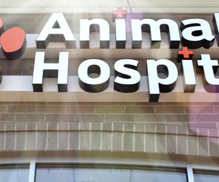Finan Animal Hospital