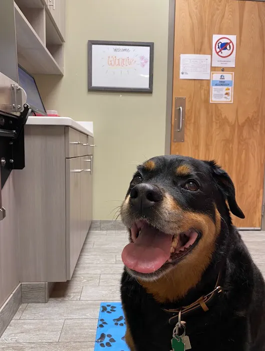 Finan Animal Hospital Picture 10