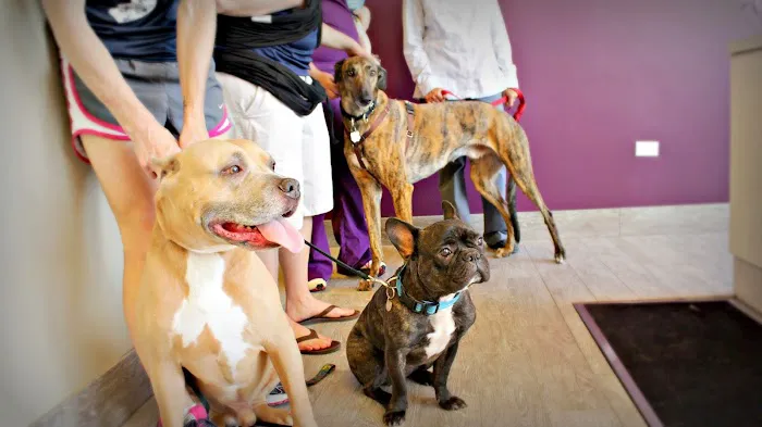 Finan Animal Hospital Picture 9