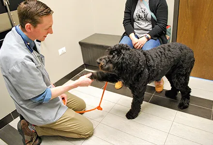 Animal Care Center of Downers Grove Picture 2