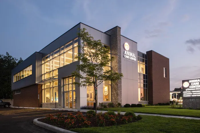 Animal Care Center of Downers Grove Picture 7