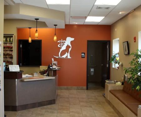 Downers Grove Animal Hospital & Bird Clinic