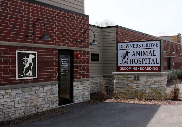 Downers Grove Animal Hospital & Bird Clinic Picture 10