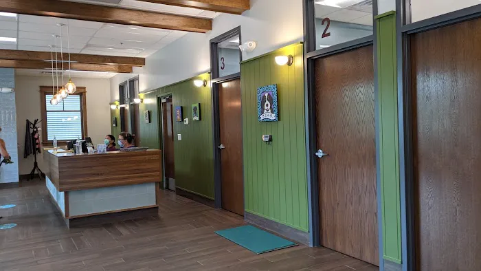 All Creatures Great & Small Veterinary Practice Picture 8