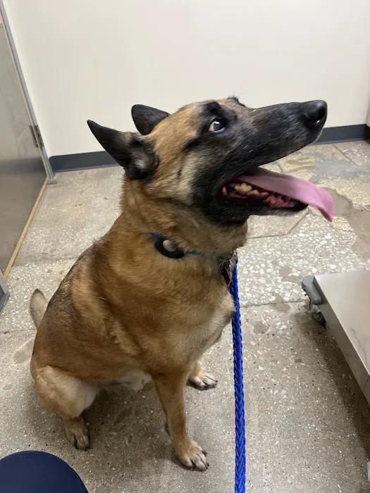 Vetco Total Care Animal Hospital Picture 8