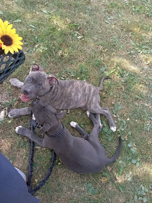 Fair Care Animal Hospital Picture 5