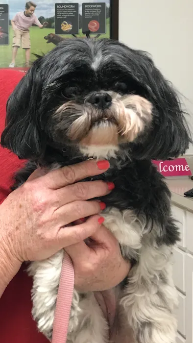 Fair Care Animal Hospital Picture 9