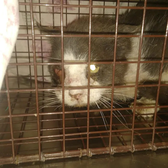 Fair Care Animal Hospital Picture 6