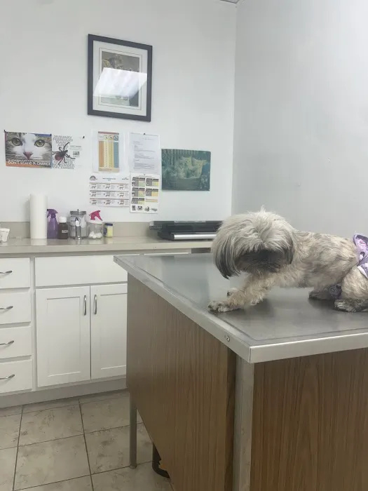 Fair Care Animal Hospital Picture 7