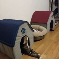 Fair Care Animal Hospital ico