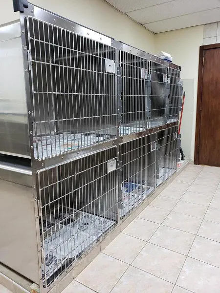 DuPage Animal Hospital Picture 3
