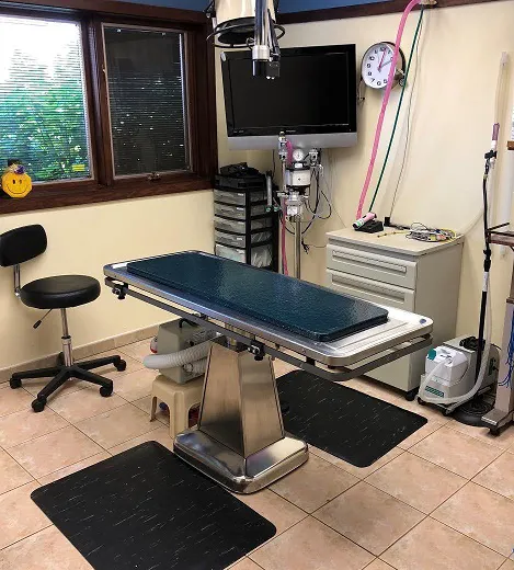 DuPage Animal Hospital Picture 7