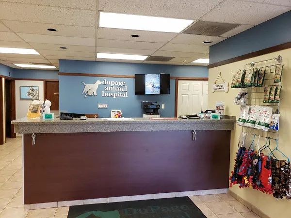 DuPage Animal Hospital Picture 4