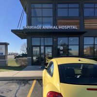 Carriage Animal Hospital ico