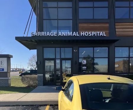 Carriage Animal Hospital