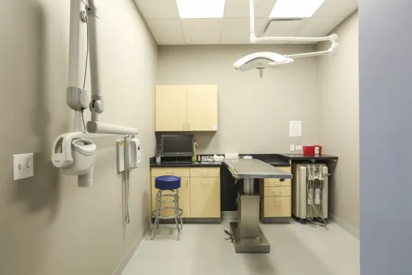 Carriage Animal Hospital Picture 5